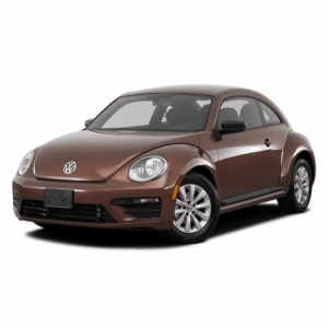 Выкуп двигателей Volkswagen Volkswagen Beetle